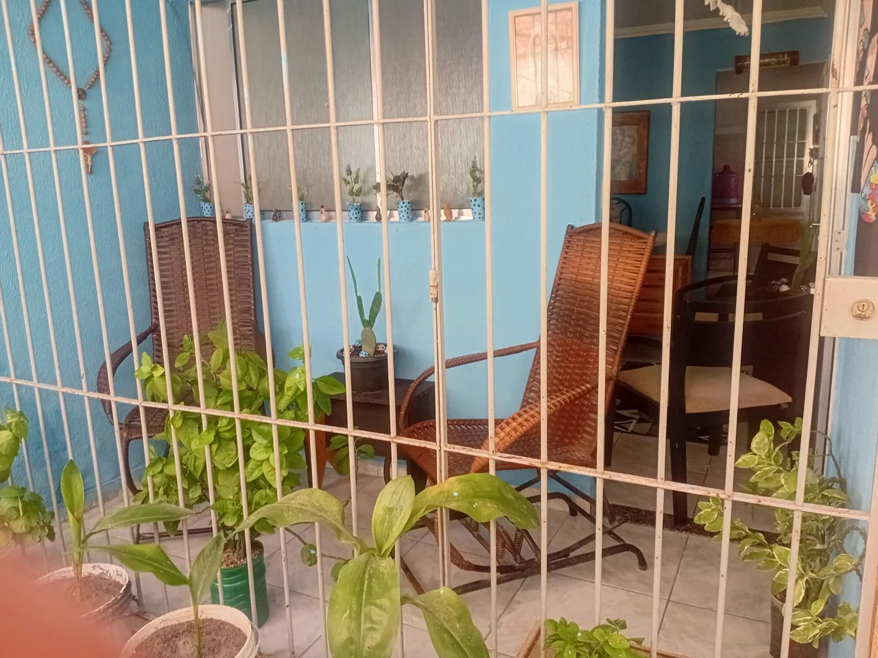 Decore sua casa com plantas!