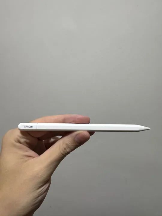 Apple Pencil 2 Geração - Usada64617796061699120