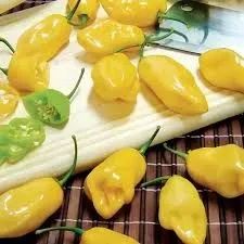 Sementes de Pimenta de cheiro do norte- Sabor Intenso!