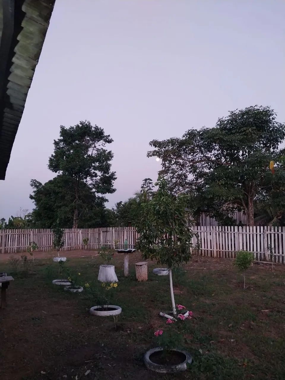 Vendo ou troco Chácara 1 hectare Estrada do Quixadá  - Foto 5