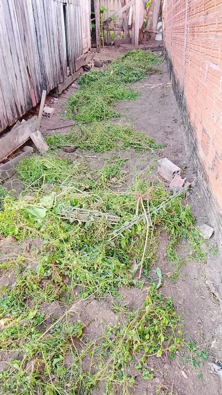 Limpeza de terrenos... - Foto 2