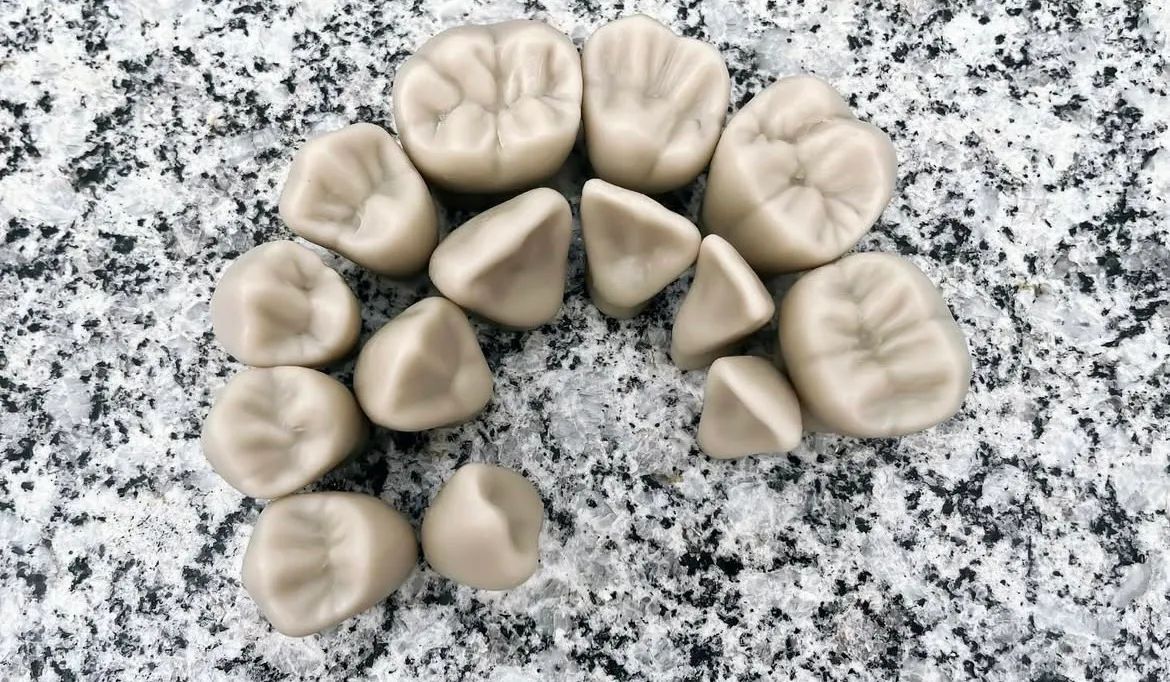 Macro modelo em resina (macro dente) - Foto 5