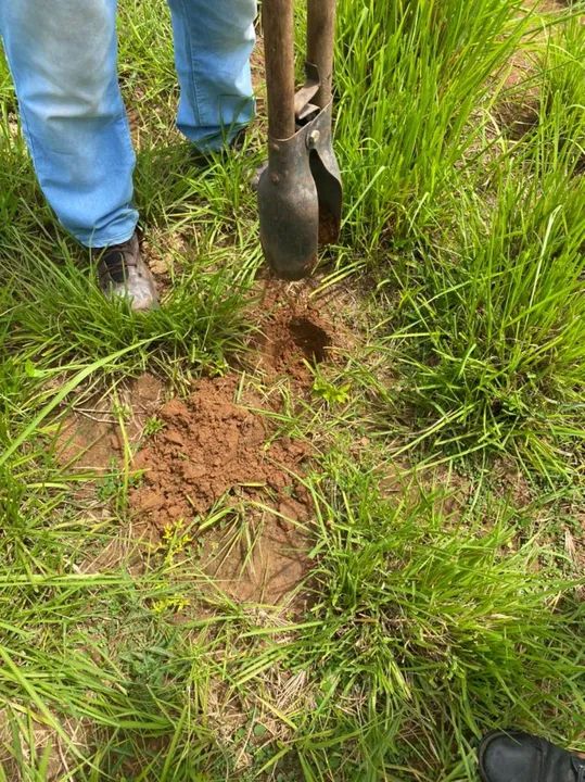 Fazenda arrendamento 1.600hec em Poconé MT. - Foto 3