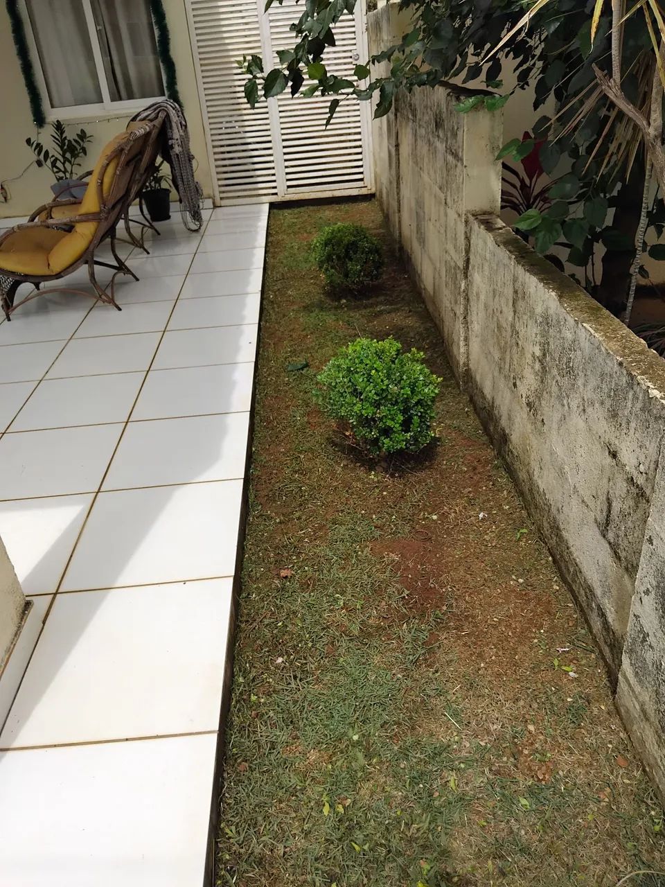 Jardineiro  - Foto 4