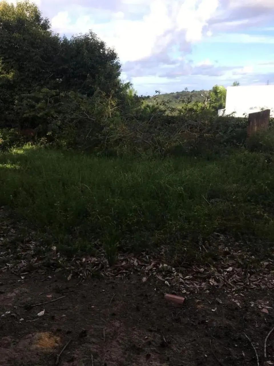 Ótimo Terreno 1.333m2 de Esquina, Todo Murado, Casa em Construção, Aldeia Km 09, Aceito Ca - Foto 12