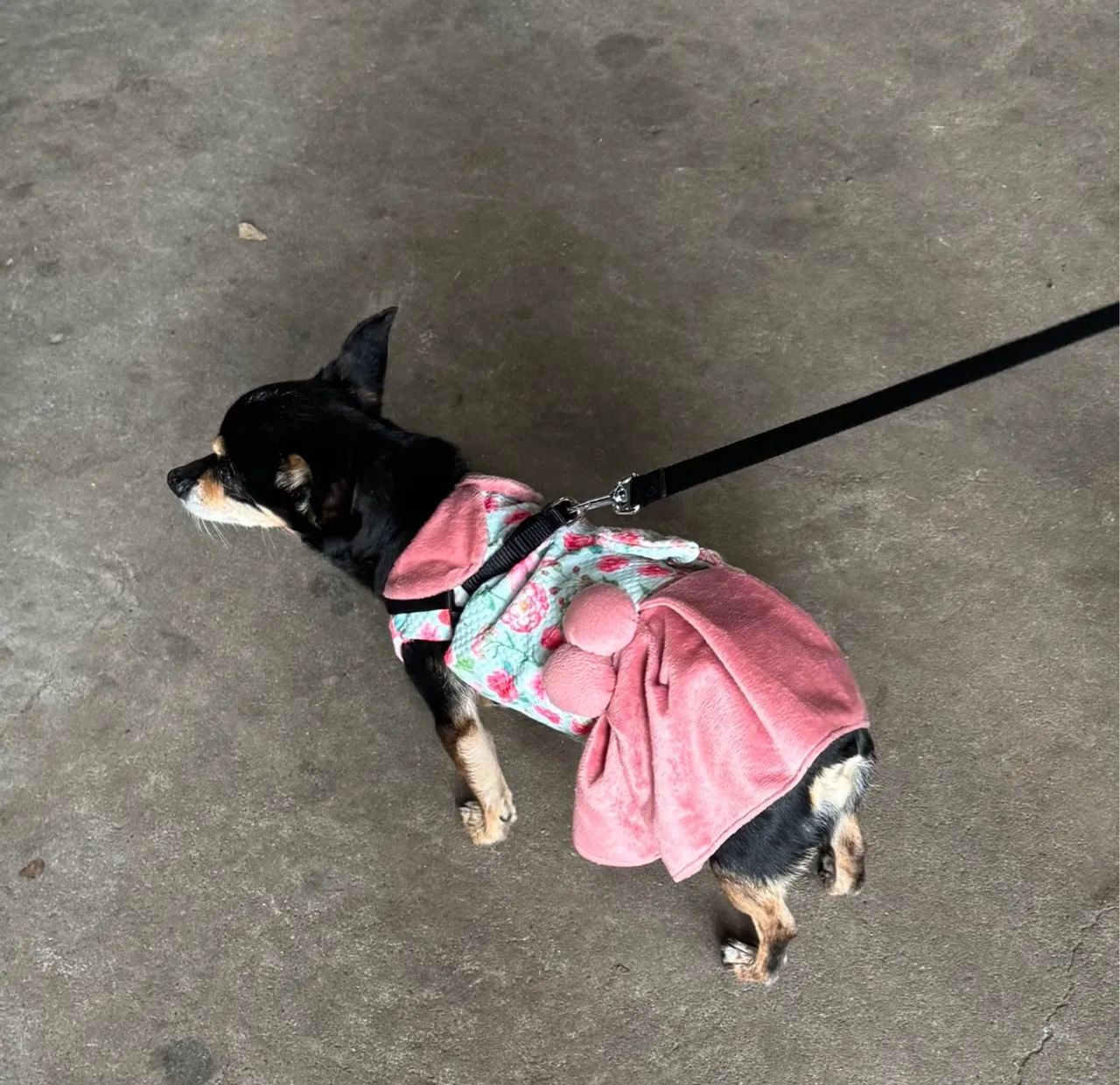 Vestido para Cachorro - roupinha pet P - Foto 5