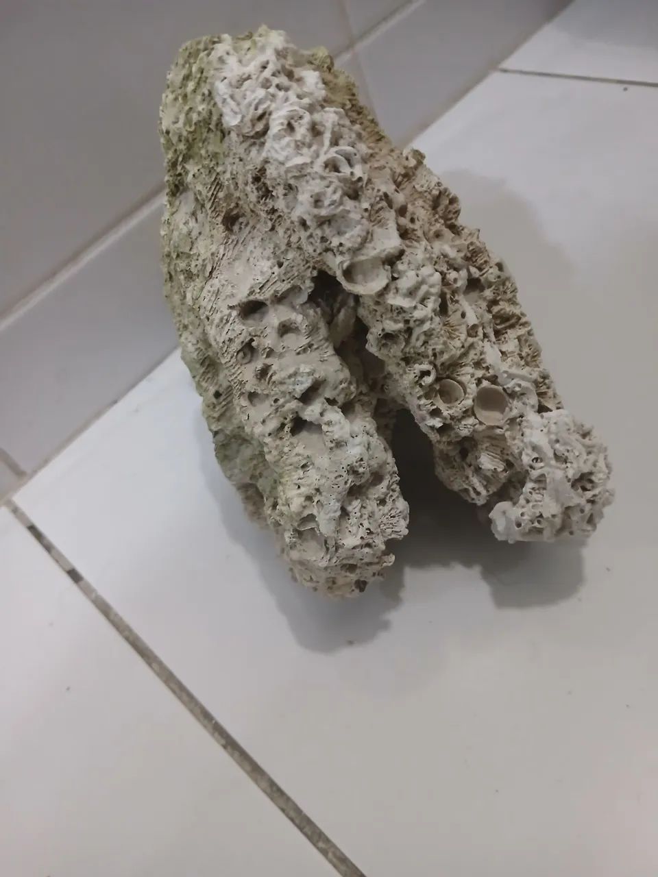 Rocha  aquario marinho (dry  rock) - Foto 2