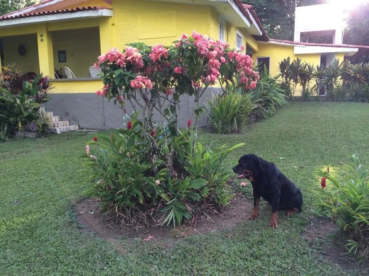 Chácara com 3 dormitórios à venda em Aldeia - Foto 10