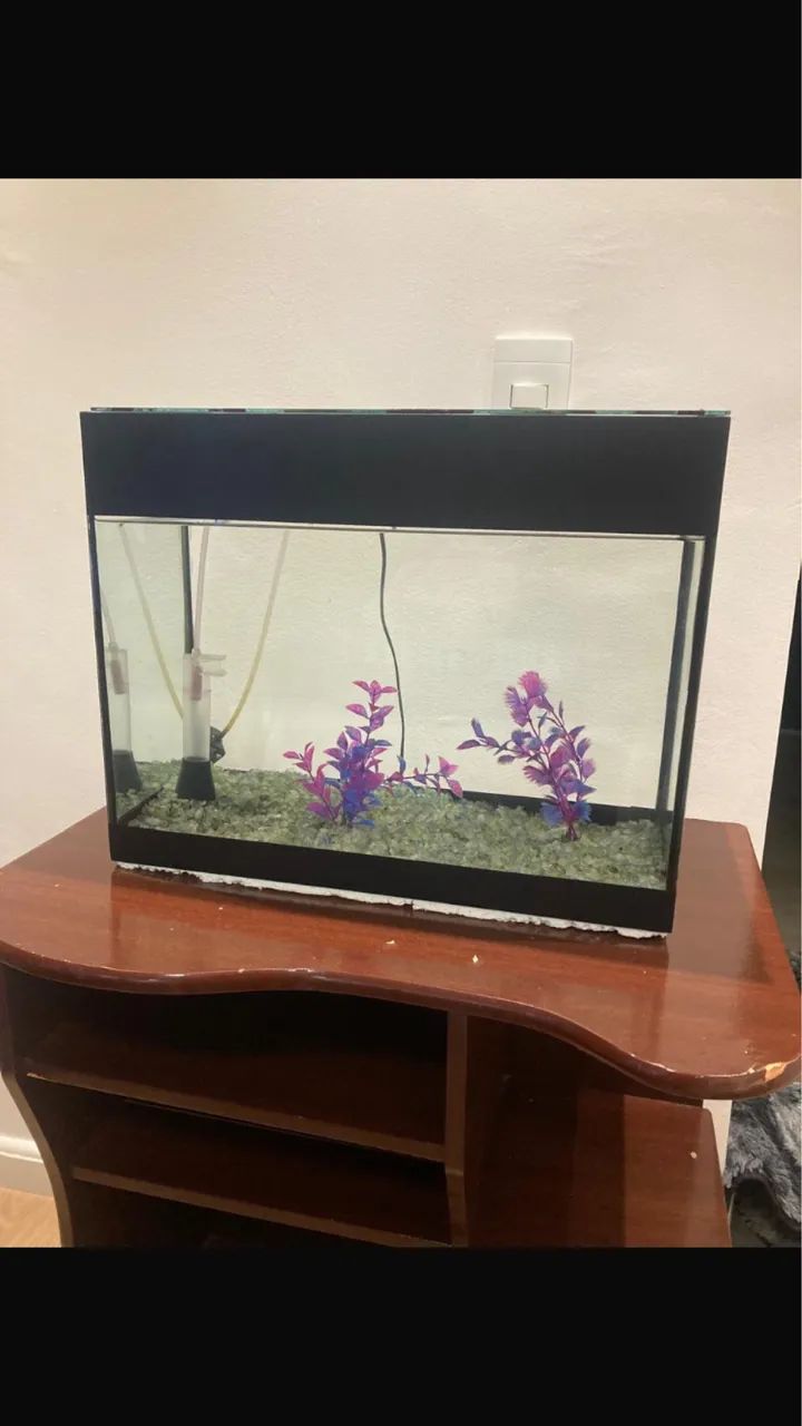 Aquário 64309467584001120