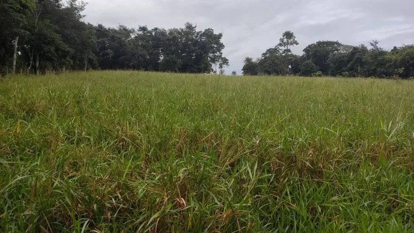 Sítio de 28.000M² em Sítio Novo - Mateus Leme - MG - Foto 6