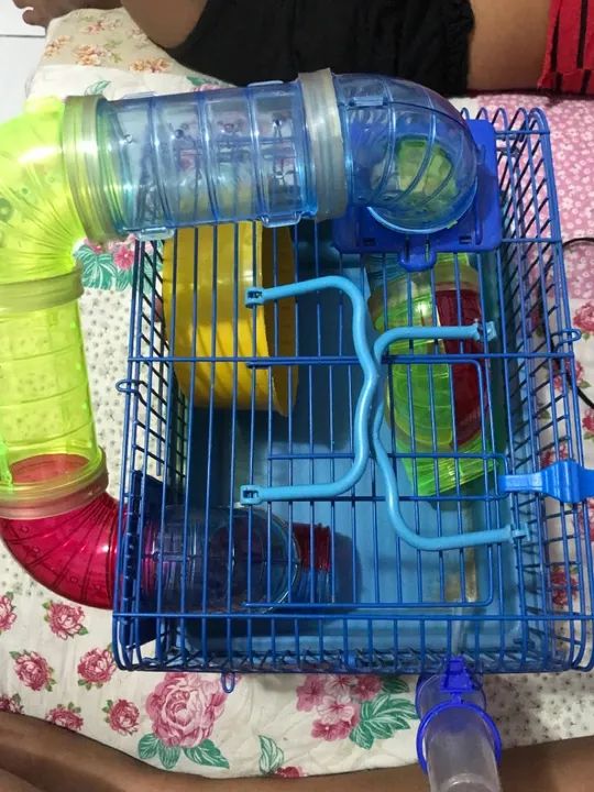 Casinha para hamster / roedor 