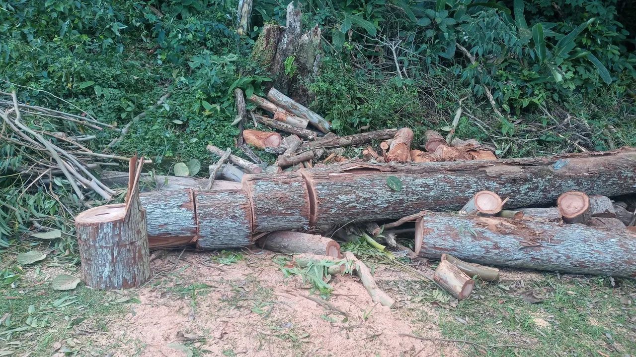 Retirada de entulho madeira moveis usados - Foto 4