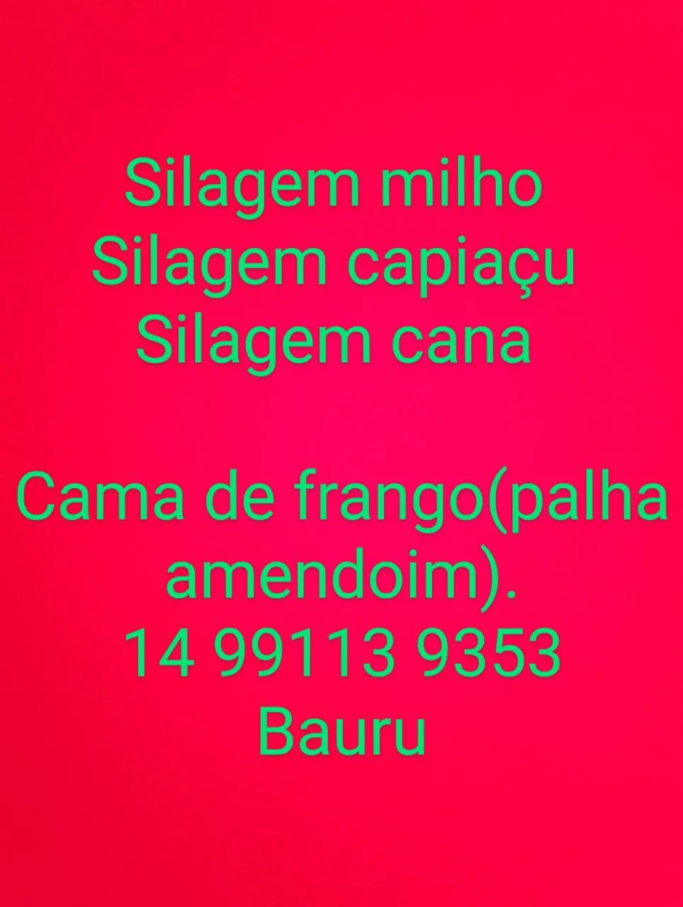 Silagem de Milho, Capiaçu e Cana + Cama de Frango