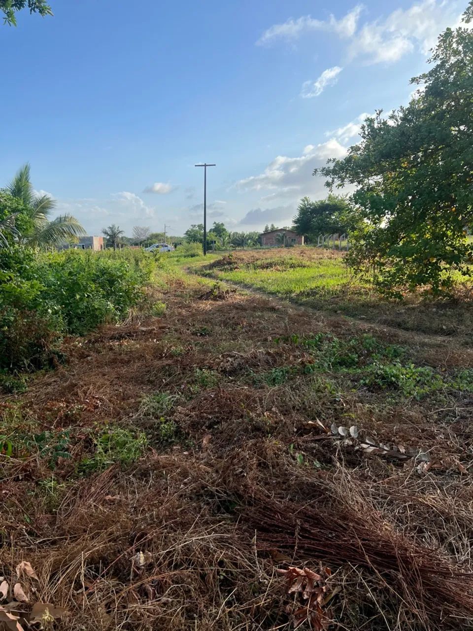 Terreno Mocajituba - Foto 2