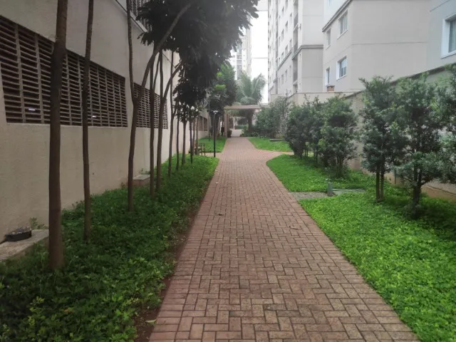 alugo - apartamento 2/4 - setor faiçalville
