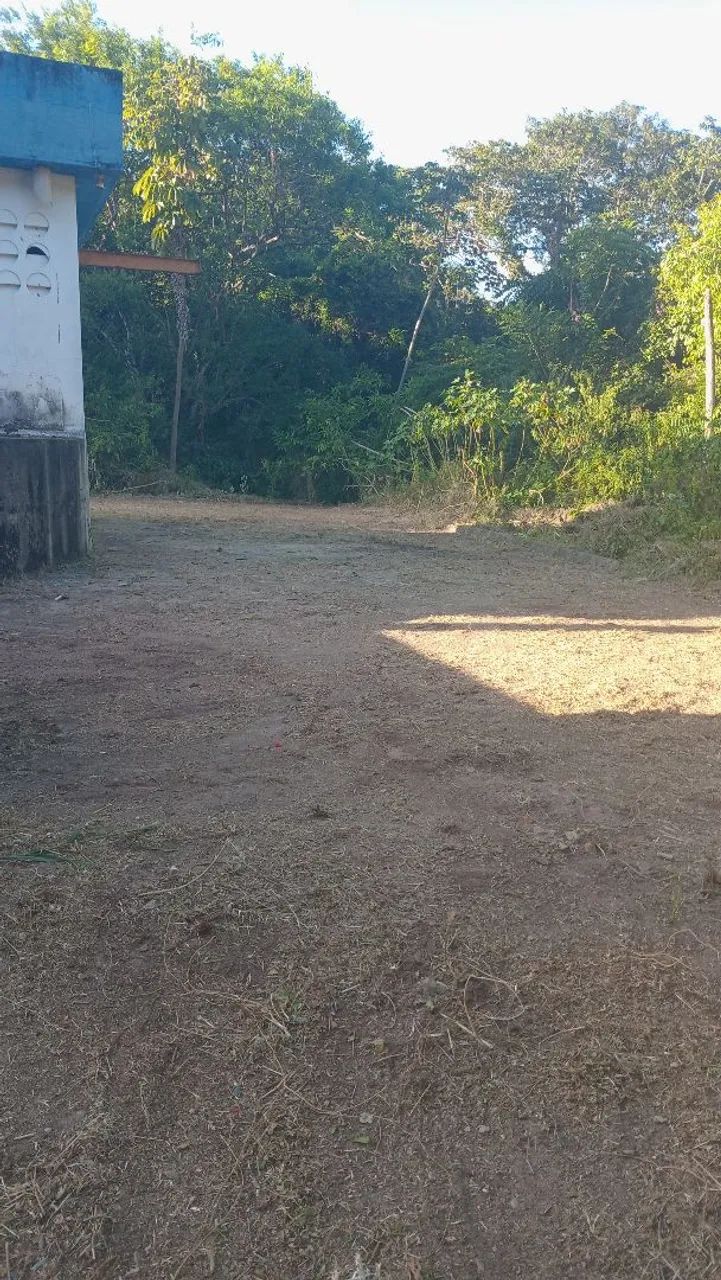 Limpezas de terrenos   - Foto 3