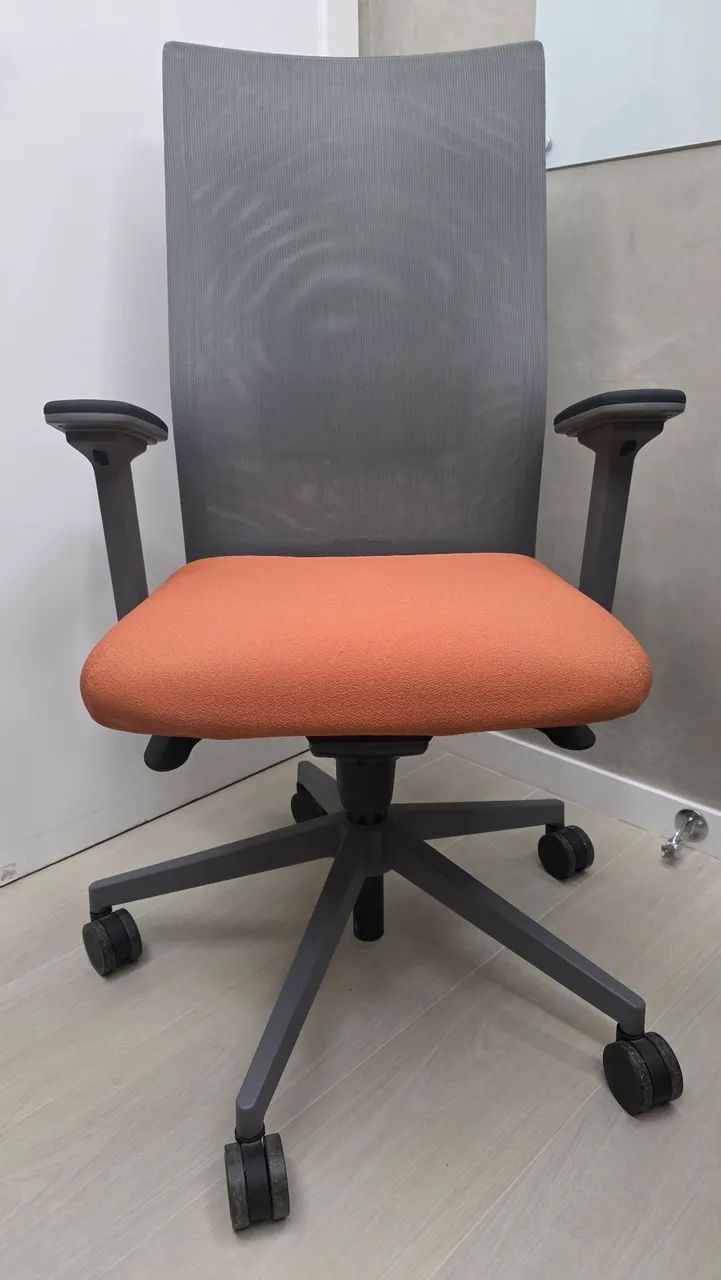 Cadeira Ergonômica Alberflex Modelo Say - Impecável - Oportunidade