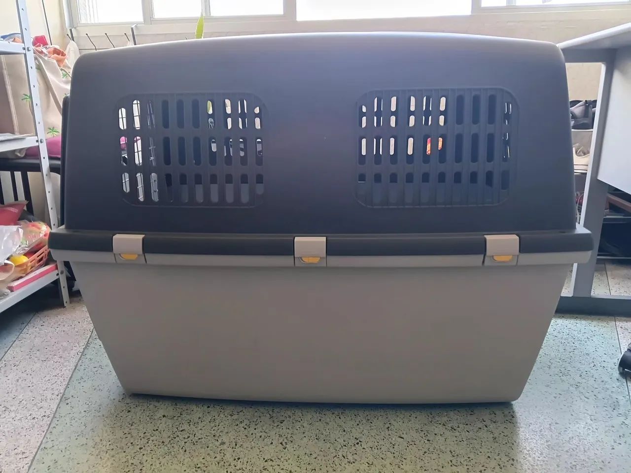 Caixa para cães 