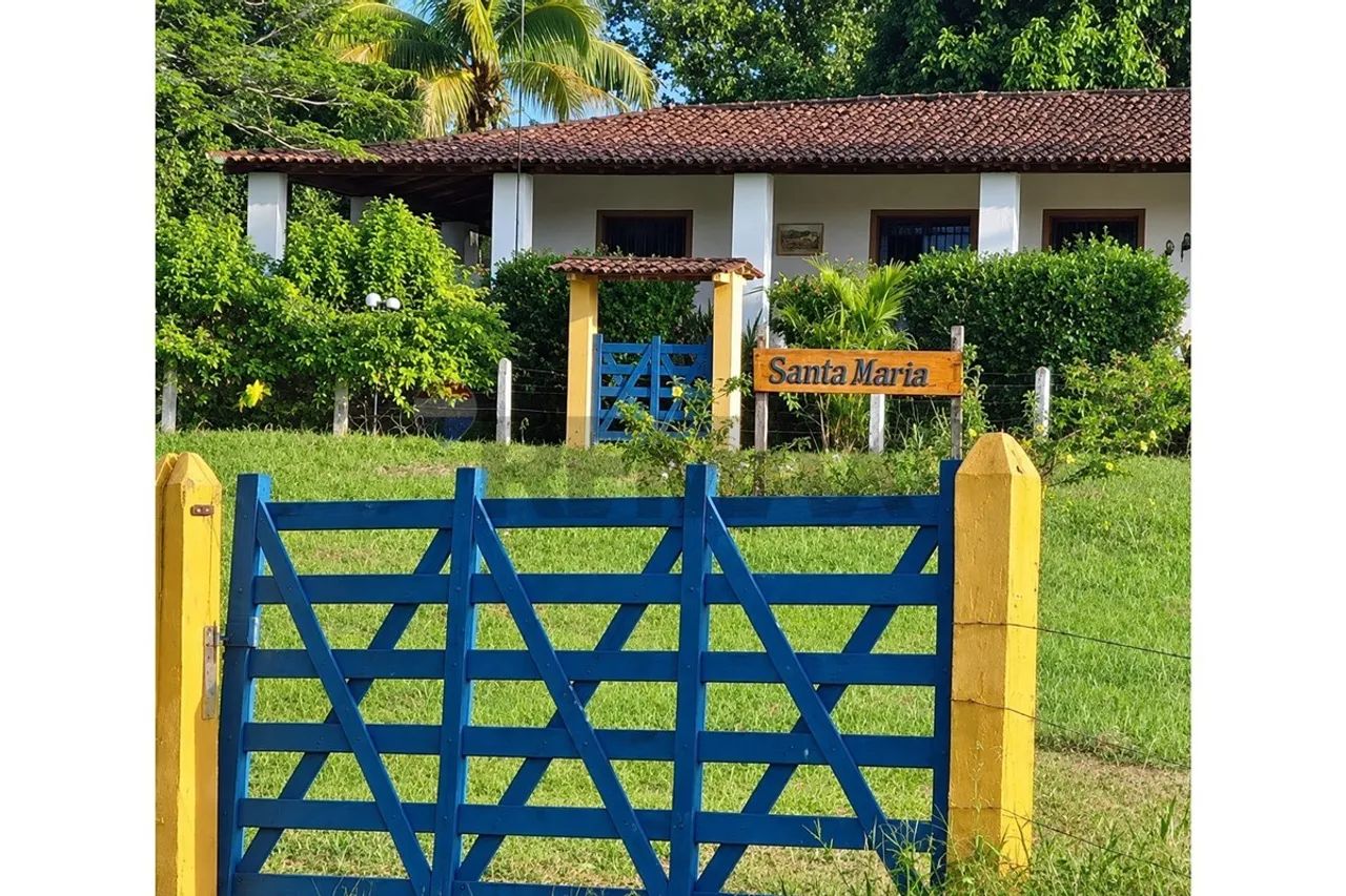 Sítio com 4,37 Ha em São Luíz de Quitunde - Foto 5
