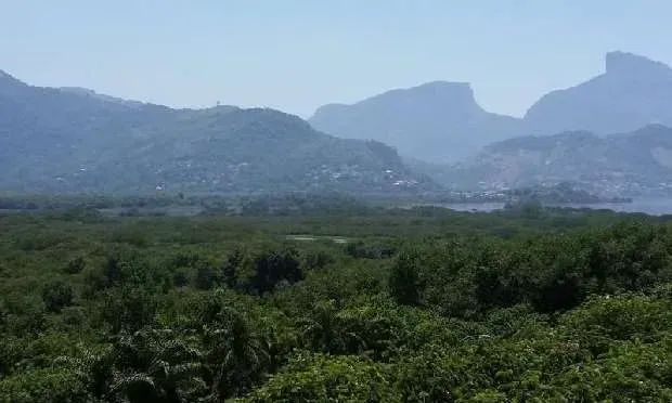 Apartamento à venda Saint Barth - Península - Foto 2
