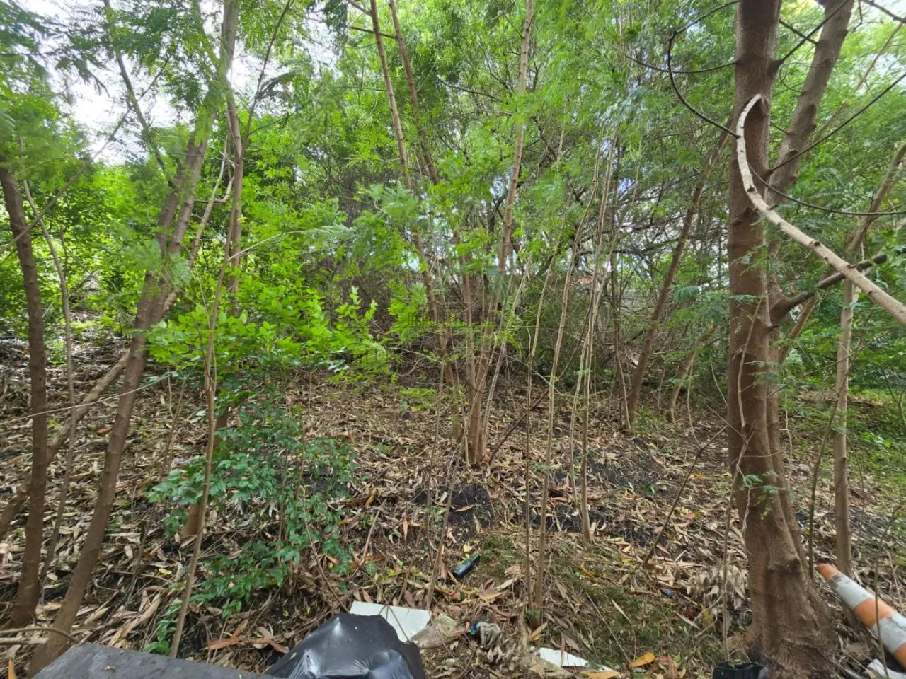 Terreno - Pinheiros - 477m² - Foto 2