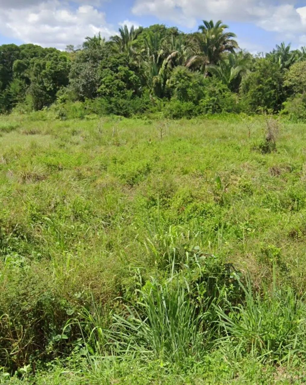 Terreno na estrada do Gapara