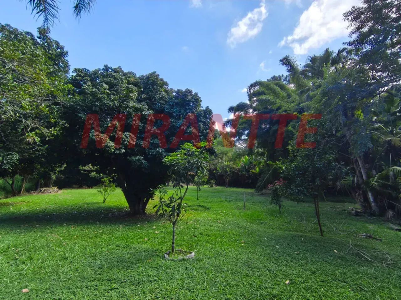 TERRENO PLANO COM NASCENTE | SERRA DA CANTAREIRA  ROSEIRA - Foto 5
