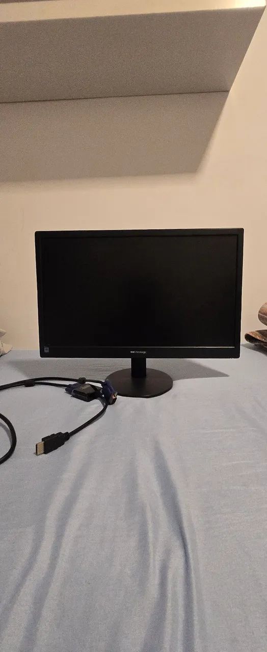 Monitor LCD AOC de 18,5.