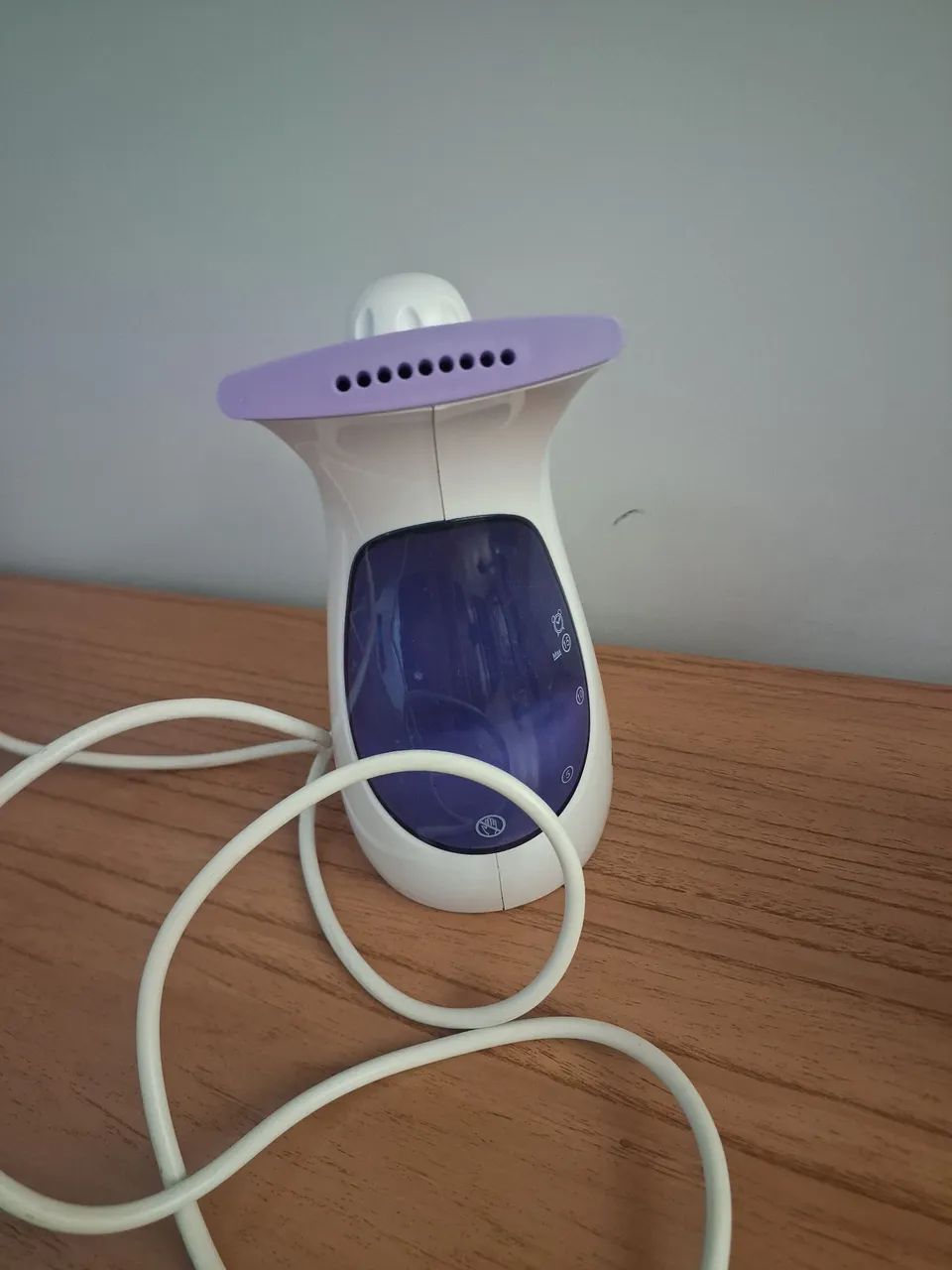 Ferro de passar a vapor 110v