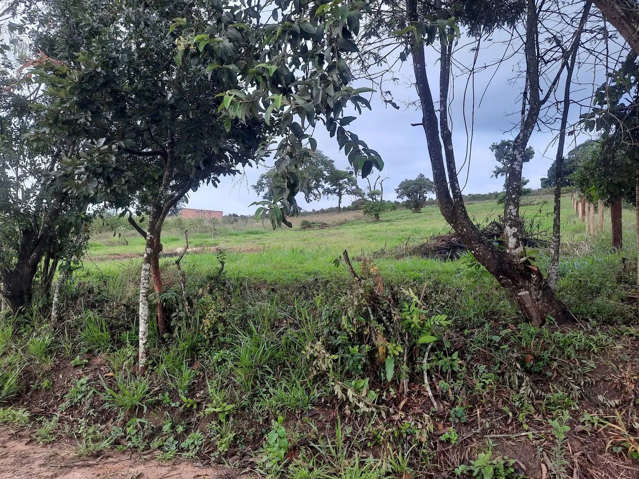 Foto - Brumadinho - Área Rural de Brumadinho