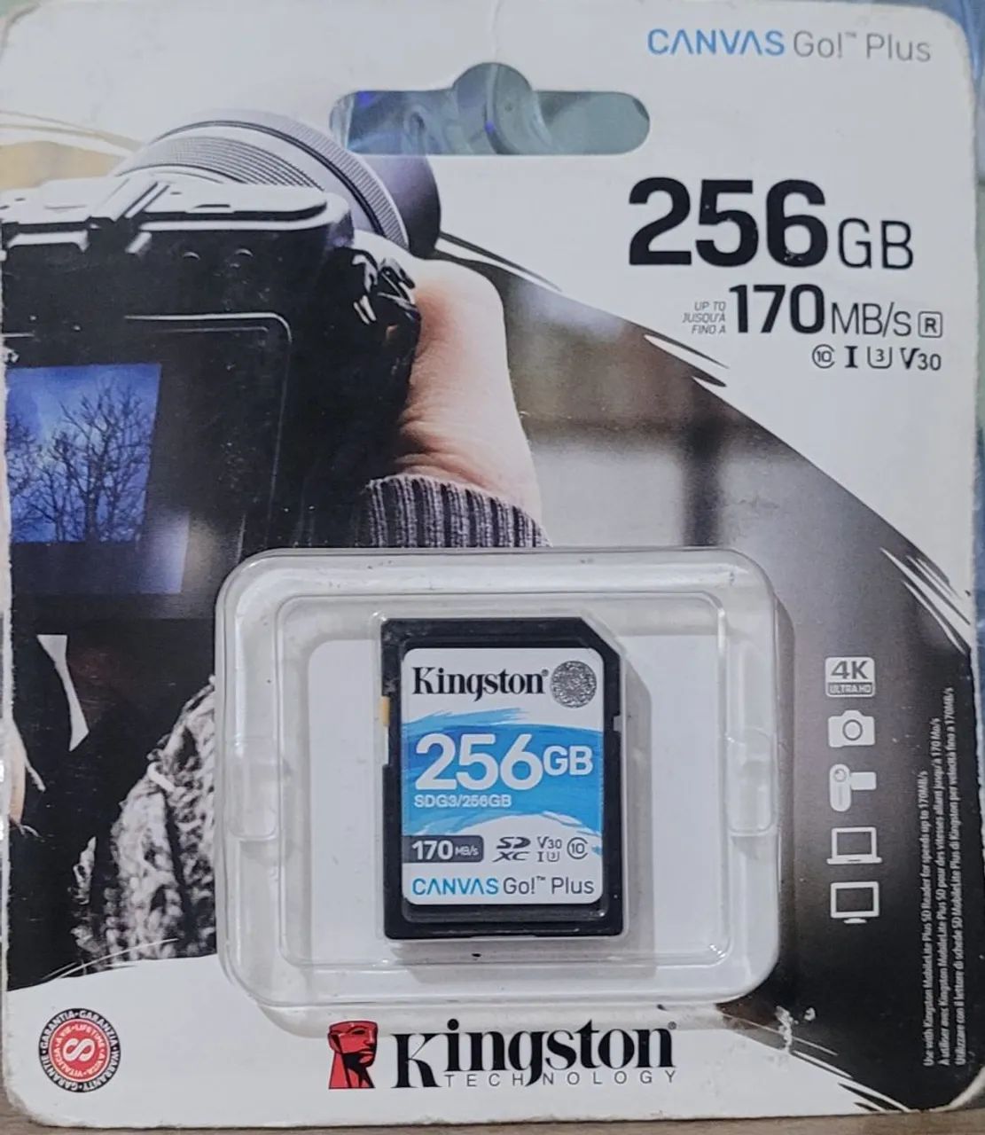 Cartão sd kingston 256gb canvas go plus class 10