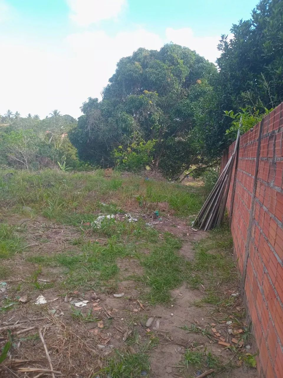 Terreno Amplo com Água Natural e Acesso Duplo - Povoado Nova Descoberta (Itaporanga) - Foto 5