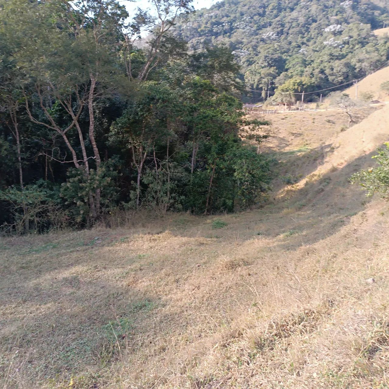 VENDO SITIO 3 ALQUEIRES EM NATIVIDADE DA SERRA ( 4291 ) - Foto 15
