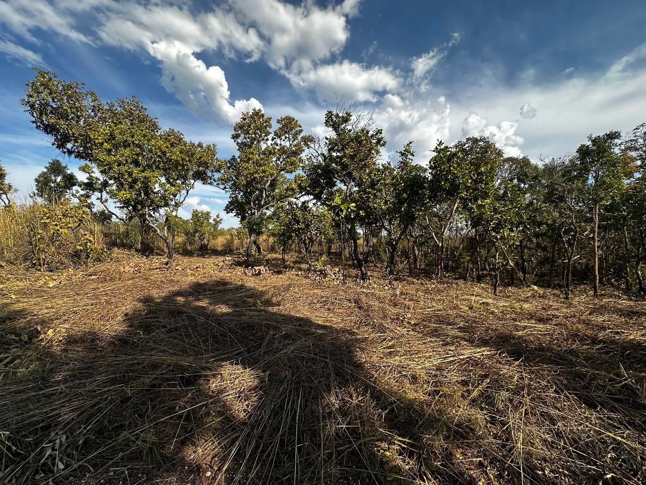 2 TERRENOS A VENDA EM VARGINHA-Sant. ANTÔNIO DO LEVERGER  - Foto 3