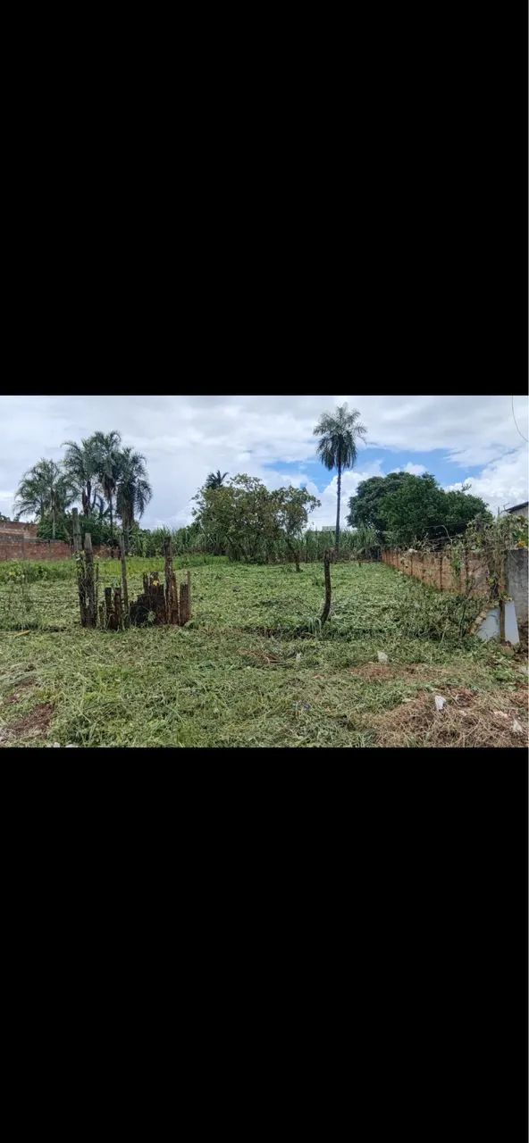 Foto - Goiânia - Parque Amazônia