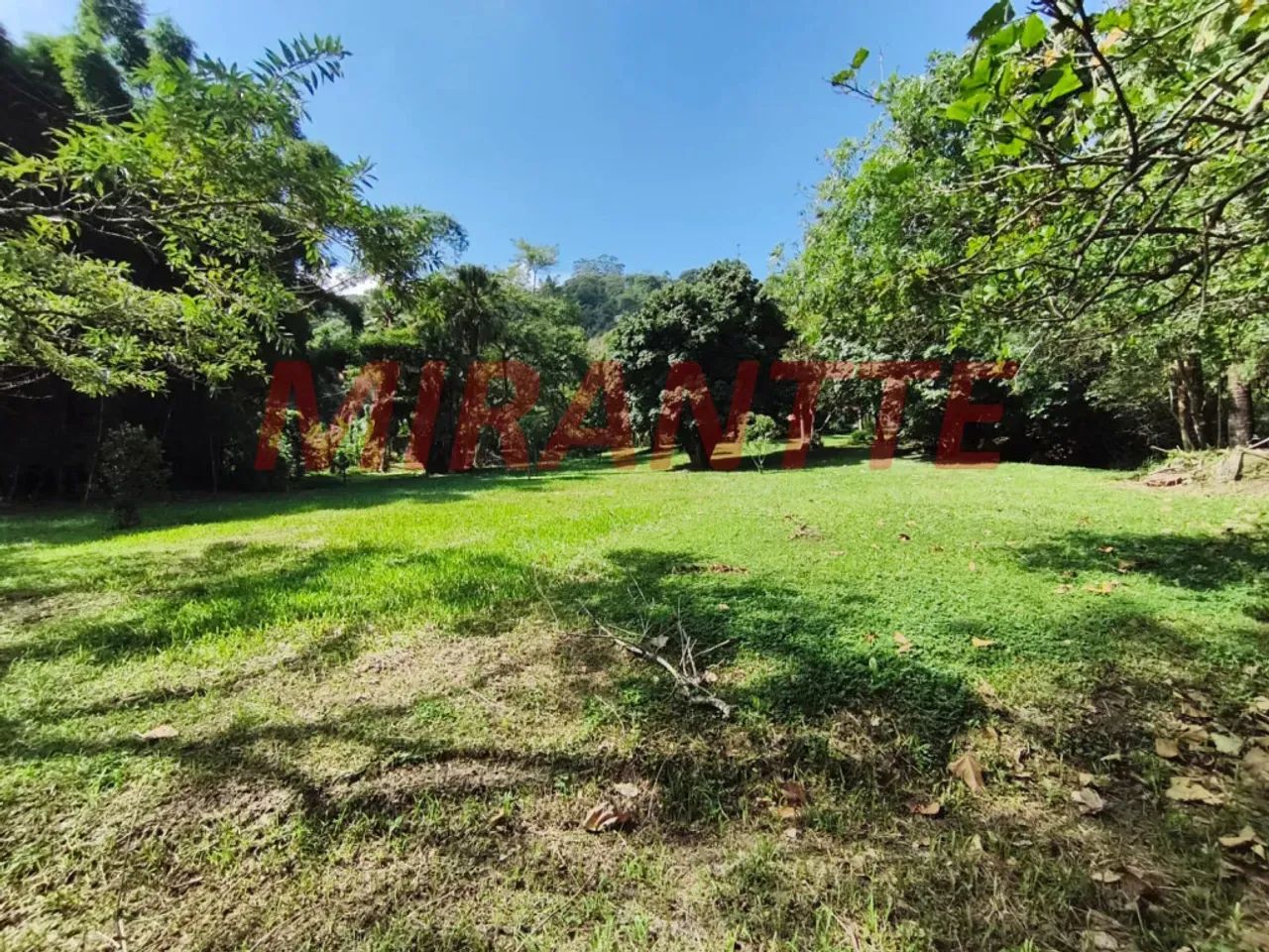 TERRENO PLANO COM NASCENTE | SERRA DA CANTAREIRA  ROSEIRA - Foto 3