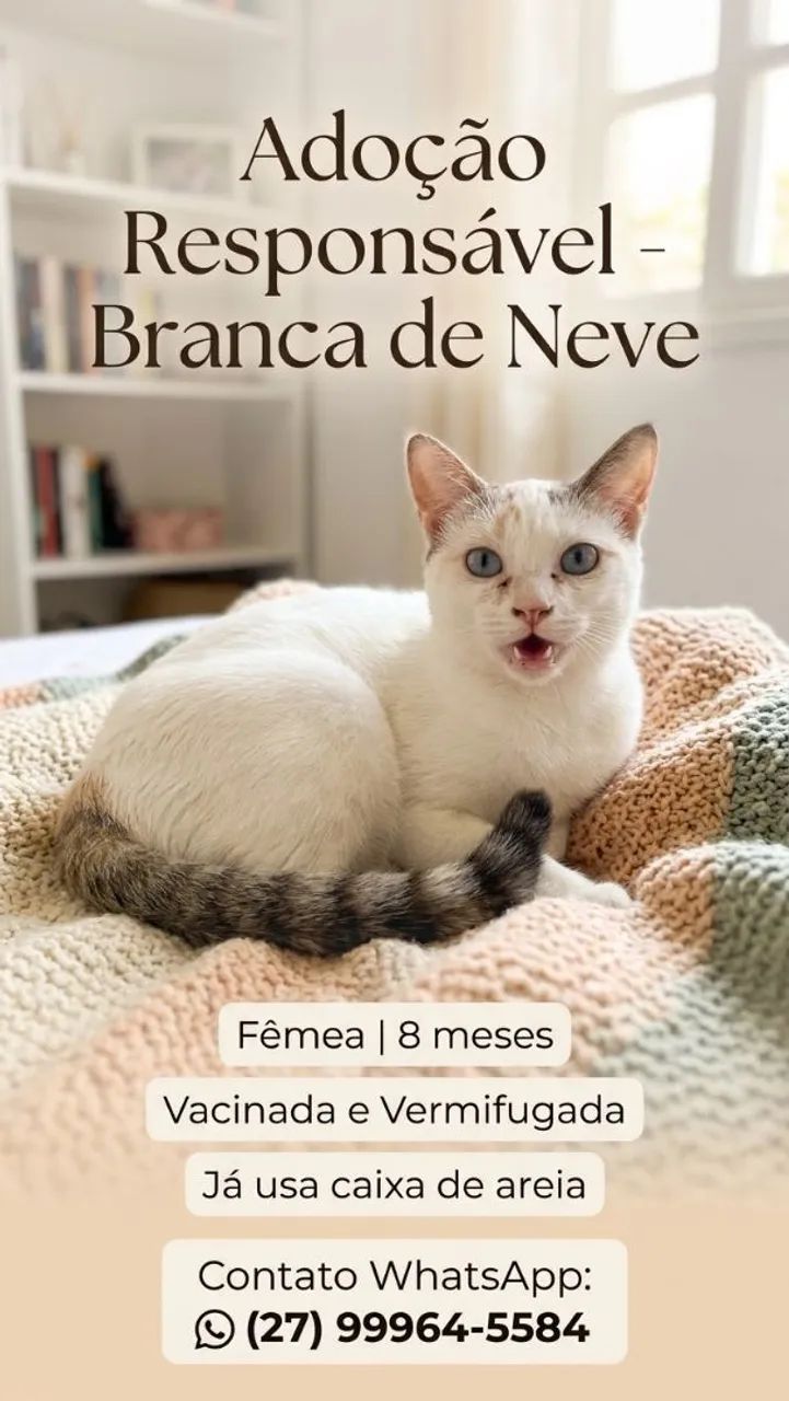 Filhotes Gatos 
