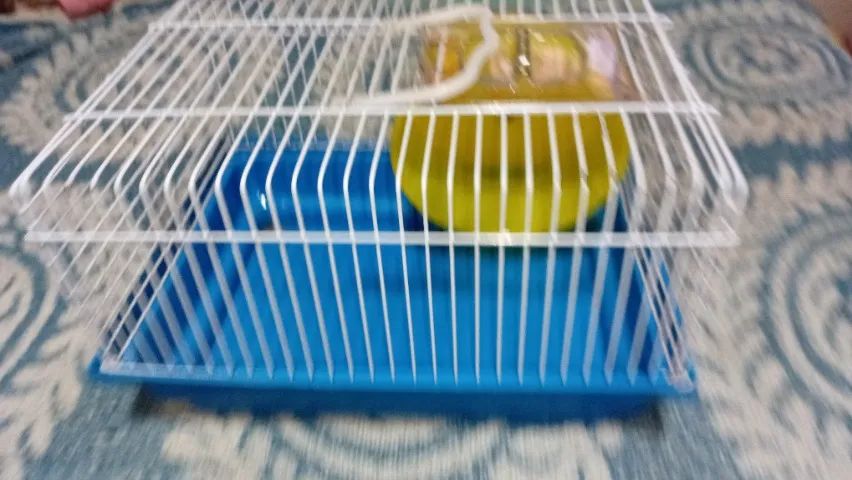 Gaiola para ramisters - Foto 3