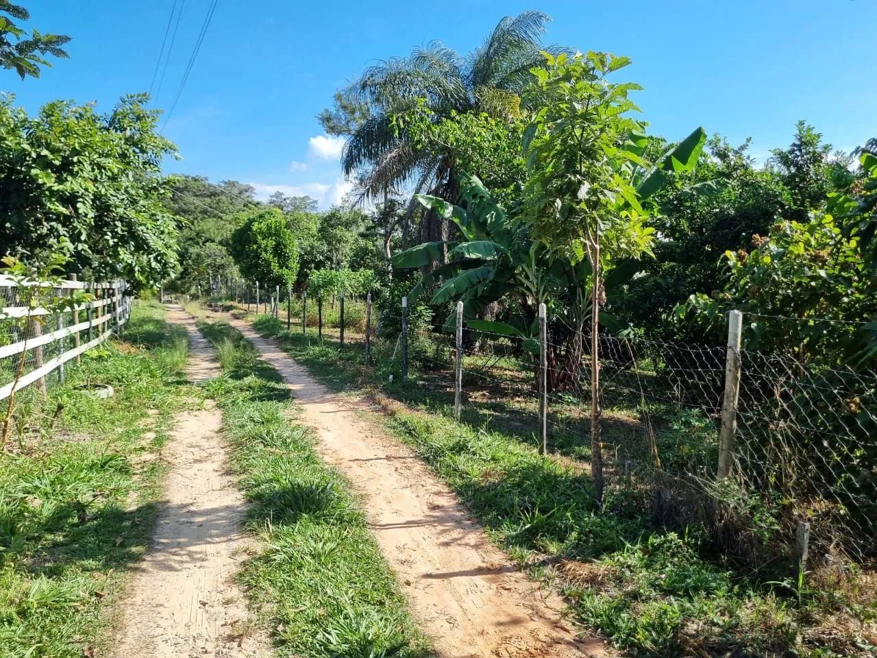 Terreno Rural  - Foto 5