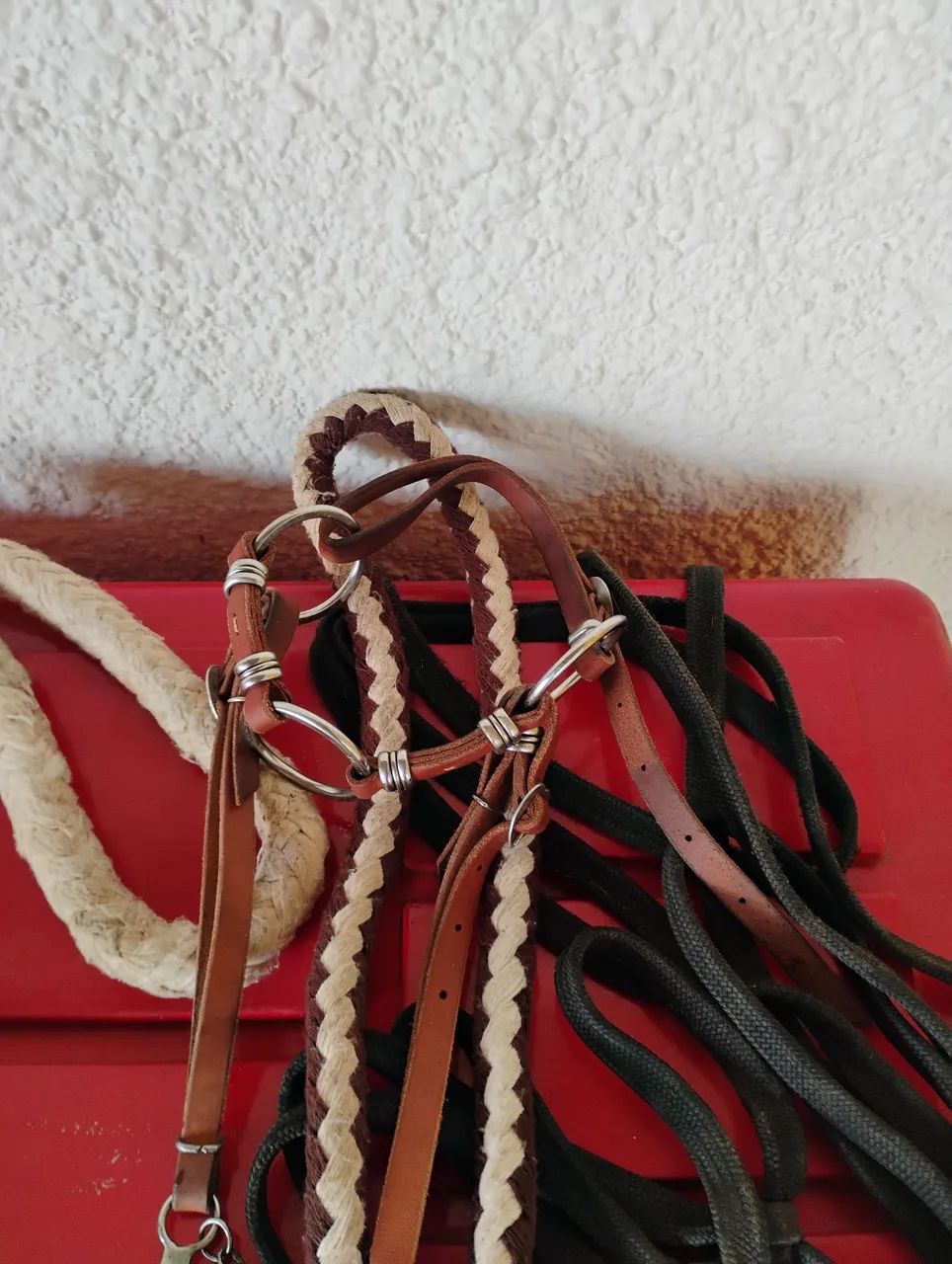 Cela para cavalos - Foto 5