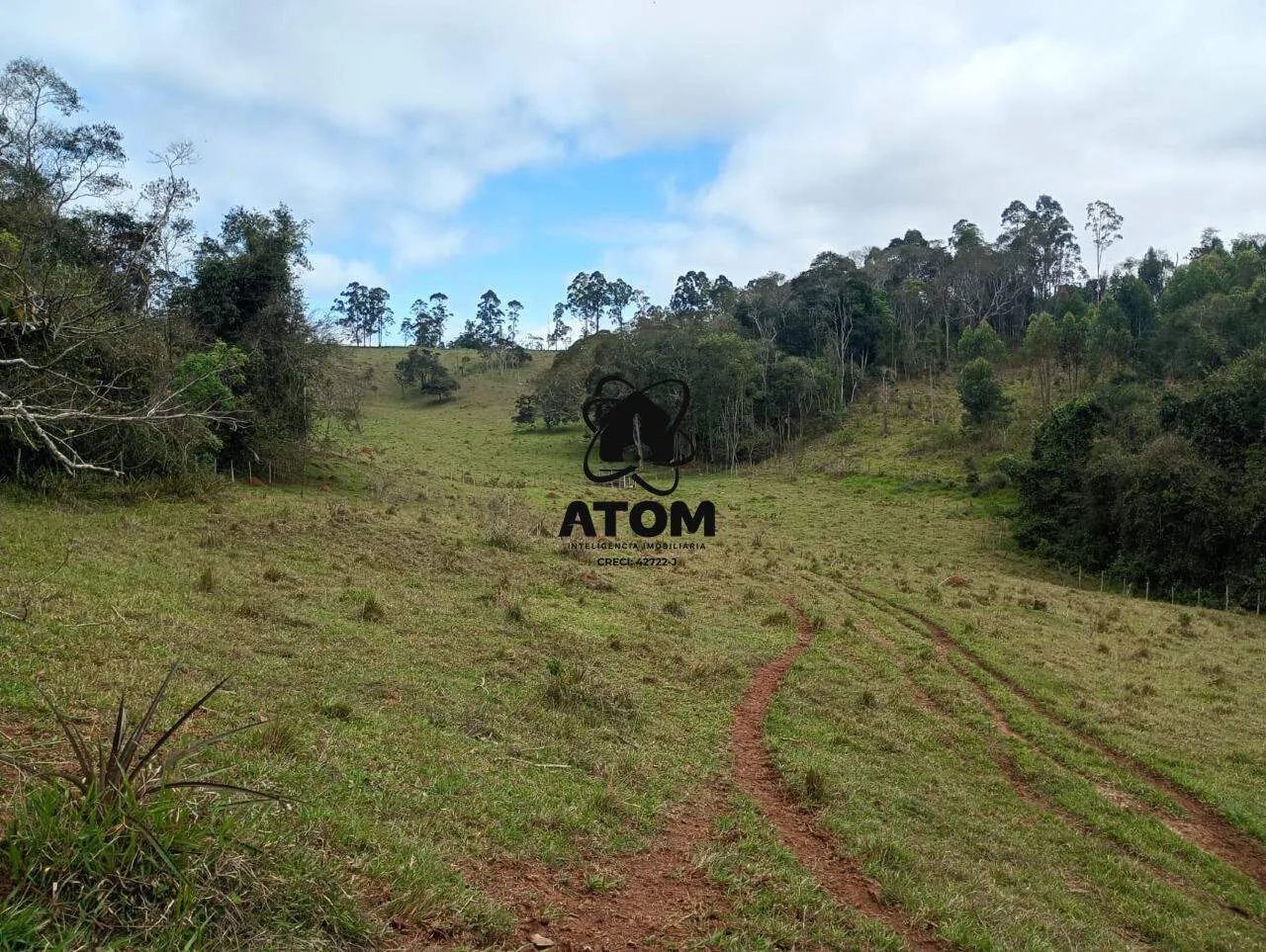 Sítio de 7 Alqueires em São Luiz do Paraitinga - Foto 4