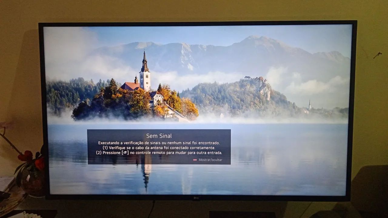 Tv LG 55 polegadas smart completa  - Foto 4