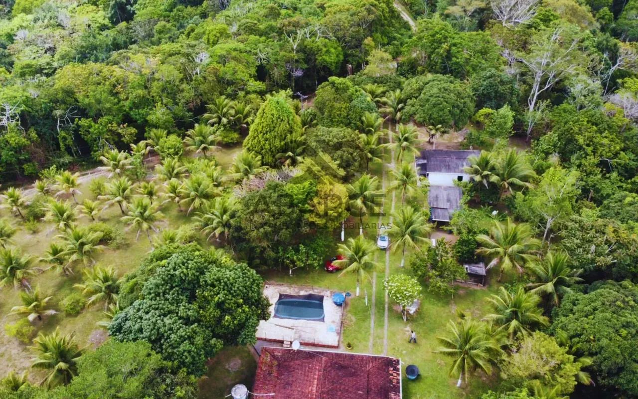 SÍTIO BOM JESUS 7 HA - JAPÚ - ILHÉUS/BA