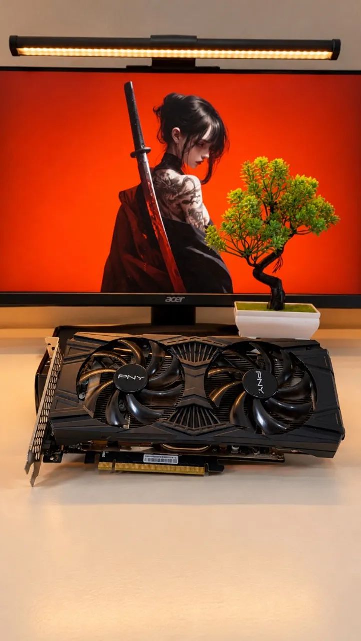 GTX1660ti (aceito sua placa)