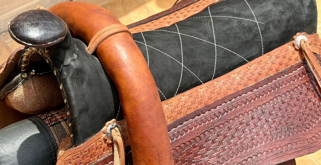 Sela americana  - Foto 2