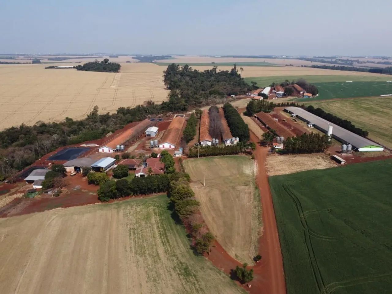 OPORTUNIDADE  GRANJA DE ALTA PRODUTIVIDADE EM TOLEDO  PR - Foto 2