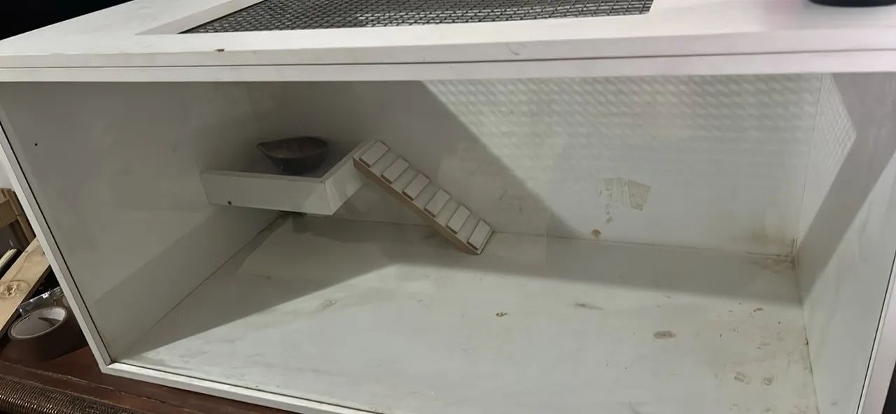 Terrário para hamster - MDF + vidro | 2 níveis - Foto 3