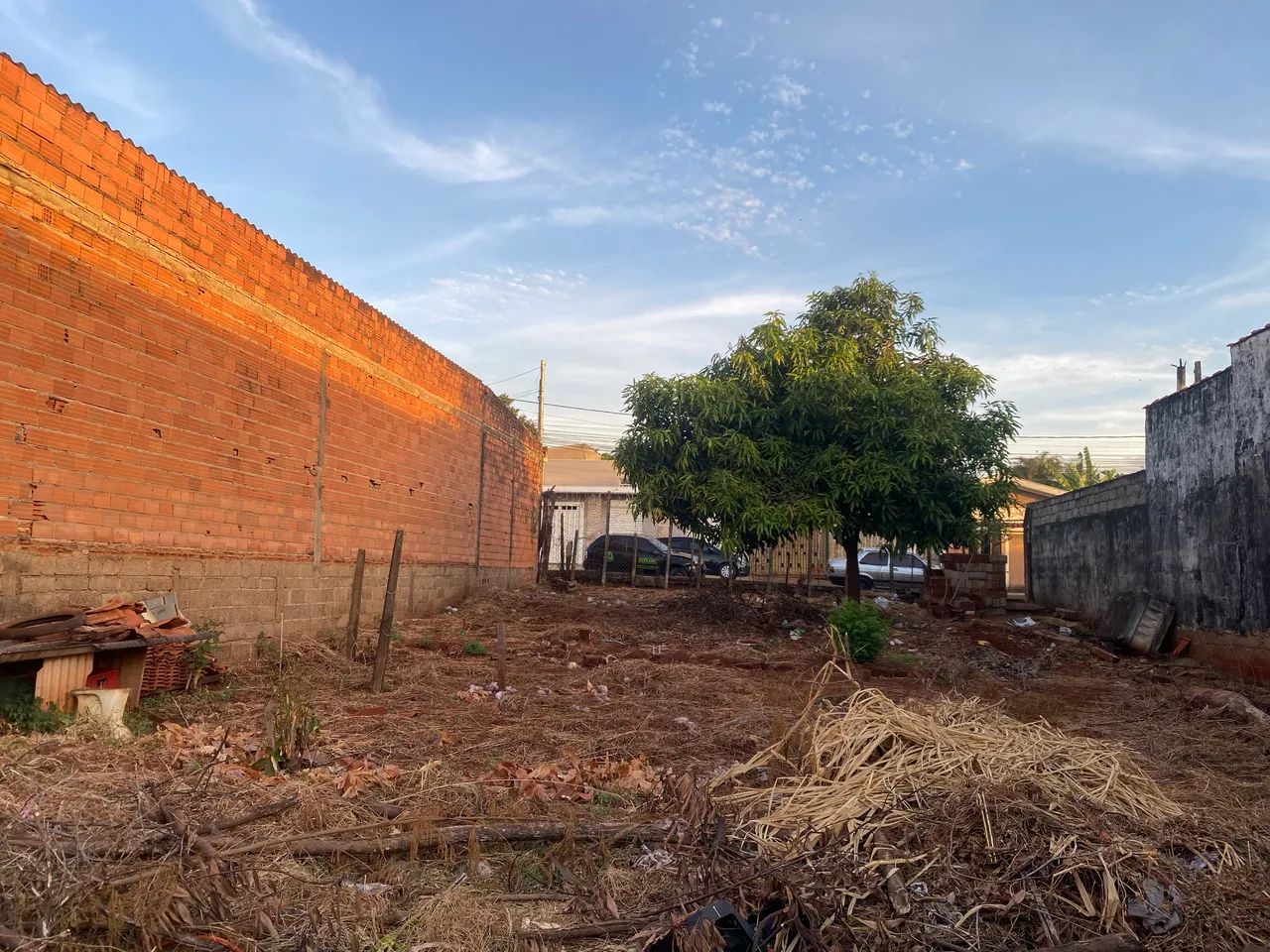 Terreno  - Foto 3