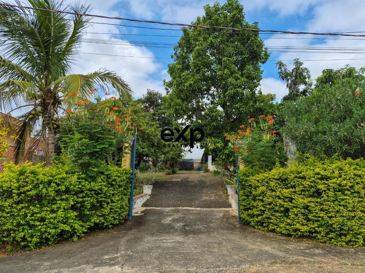 Chácara com 1.250 m² de terreno à venda no bairro Serrote - Foto 2