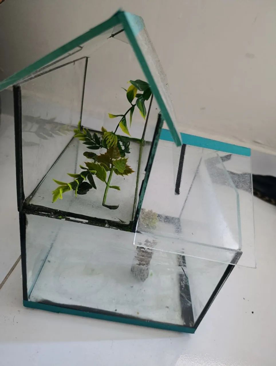 Aquário  - Foto 2